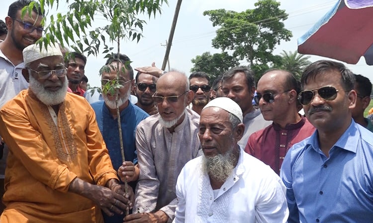 পিরোজপুরের চলিশা বাজার খালের পাশে ‘জেডআরএফ’-এর উদ্যোগে বৃক্ষরোপণ