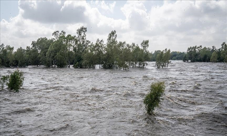 দক্ষিণ আফ্রিকার বন্যায় মৃতের সংখ্যা বেড়ে ৬৭ জনে দাঁড়িয়েছে