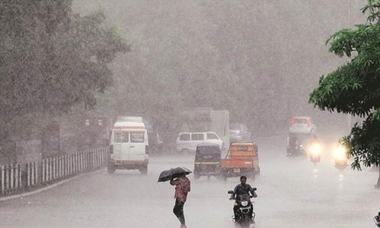 গুজরাটে বৃষ্টিপাতে কমপক্ষে ১৮ জনের প্রাণহানি