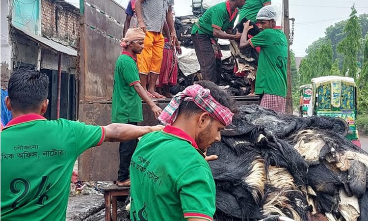 নাটোরে চামড়ার আড়তগুলোতে কেনা-বেচা জমে উঠেছে 