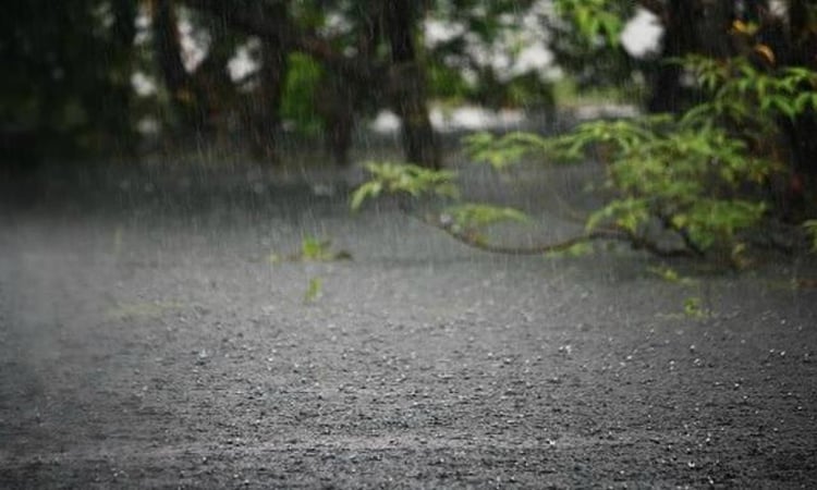 সারাদেশে বৃষ্টির সম্ভাবনা