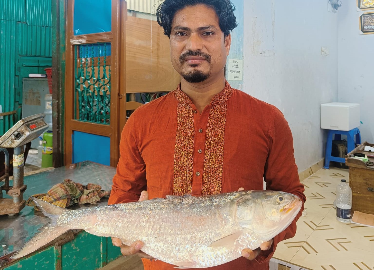 চাঁদপুরে একটি ইলিশ বিক্রি হলো ১৩ হাজার টাকায়