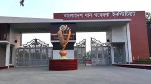 ধান চাষে কৃষকের পাশে ব্রি : ২৪ ঘণ্টা কলসেন্টার সেবা চালু 