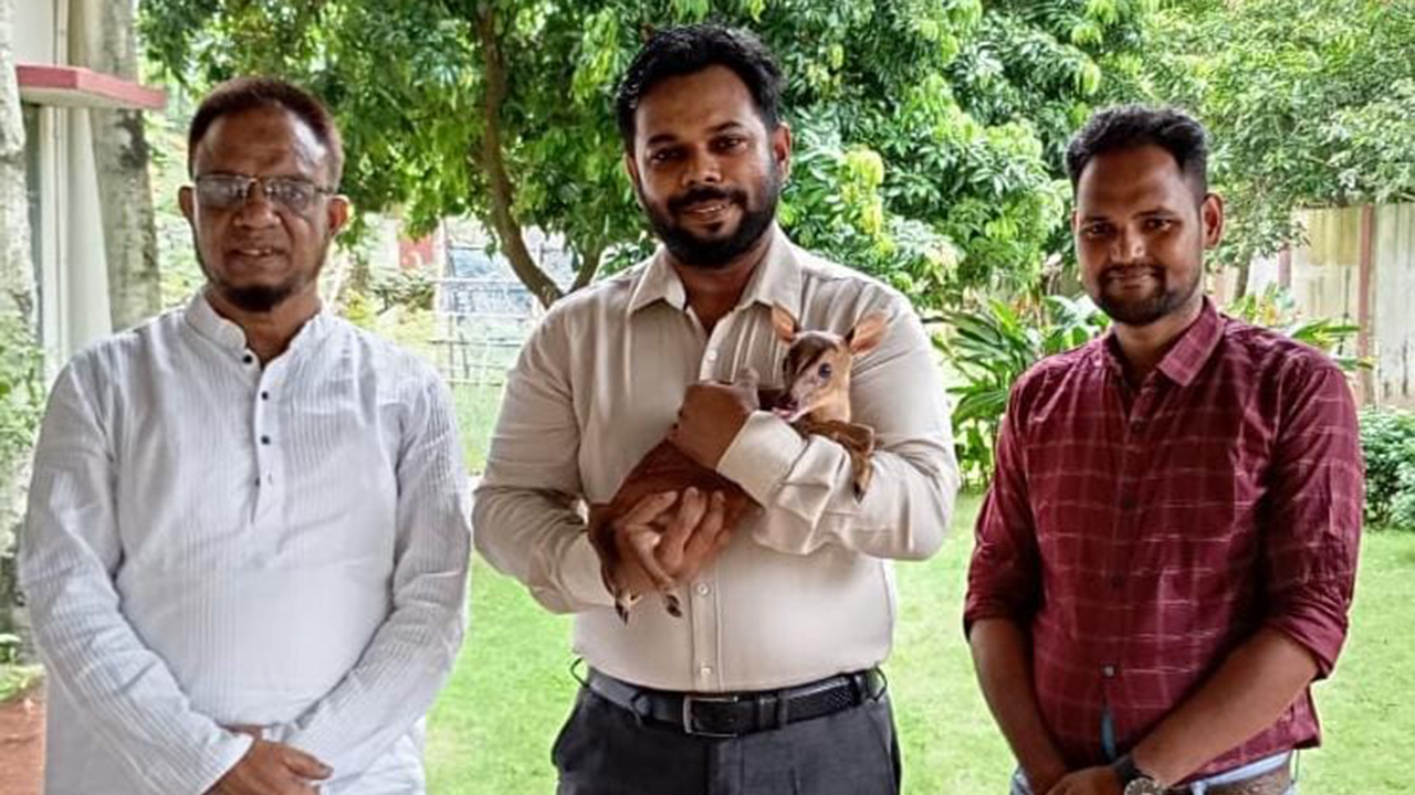 ফটিকছড়ির বন থেকে উদ্ধার হওয়া হরিণ শাবকটি পেল নিরাপদ আশ্রয়