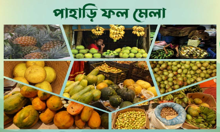 ঢাকায় পাঁচ দিনব্যাপী পাহাড়ি ফল উৎসব ও মেলা  শুরু হচ্ছে আজ