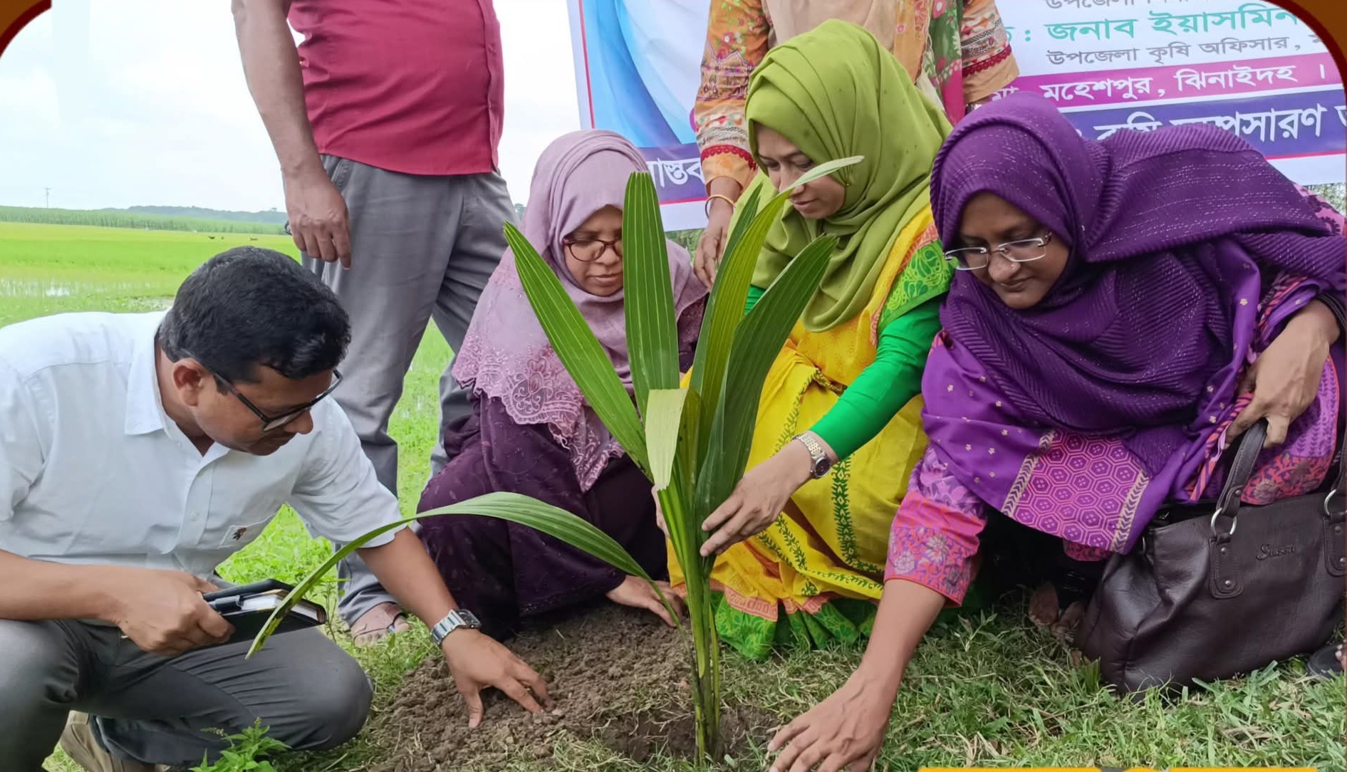 মহেশপুর বজ্রপাতে ক্ষয়ক্ষতি কমাতে তাল গাছ রোপণ