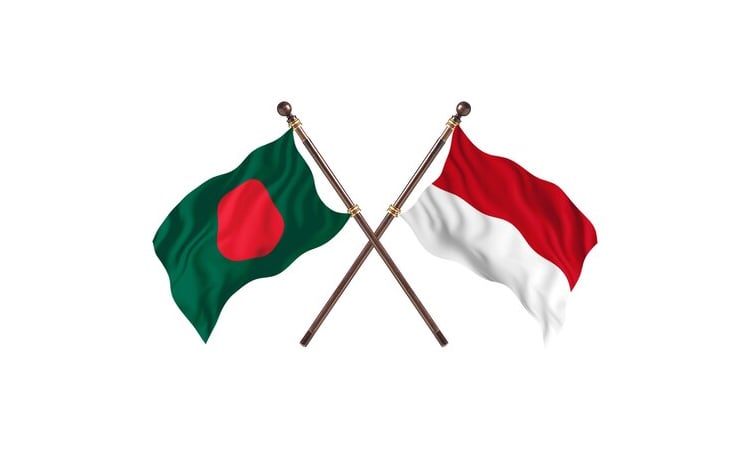 বাংলাদেশের পাট ও পাটপণ্য আমদানিতে আগ্রহী ইন্দোনেশিয়া: রাষ্ট্রদূত