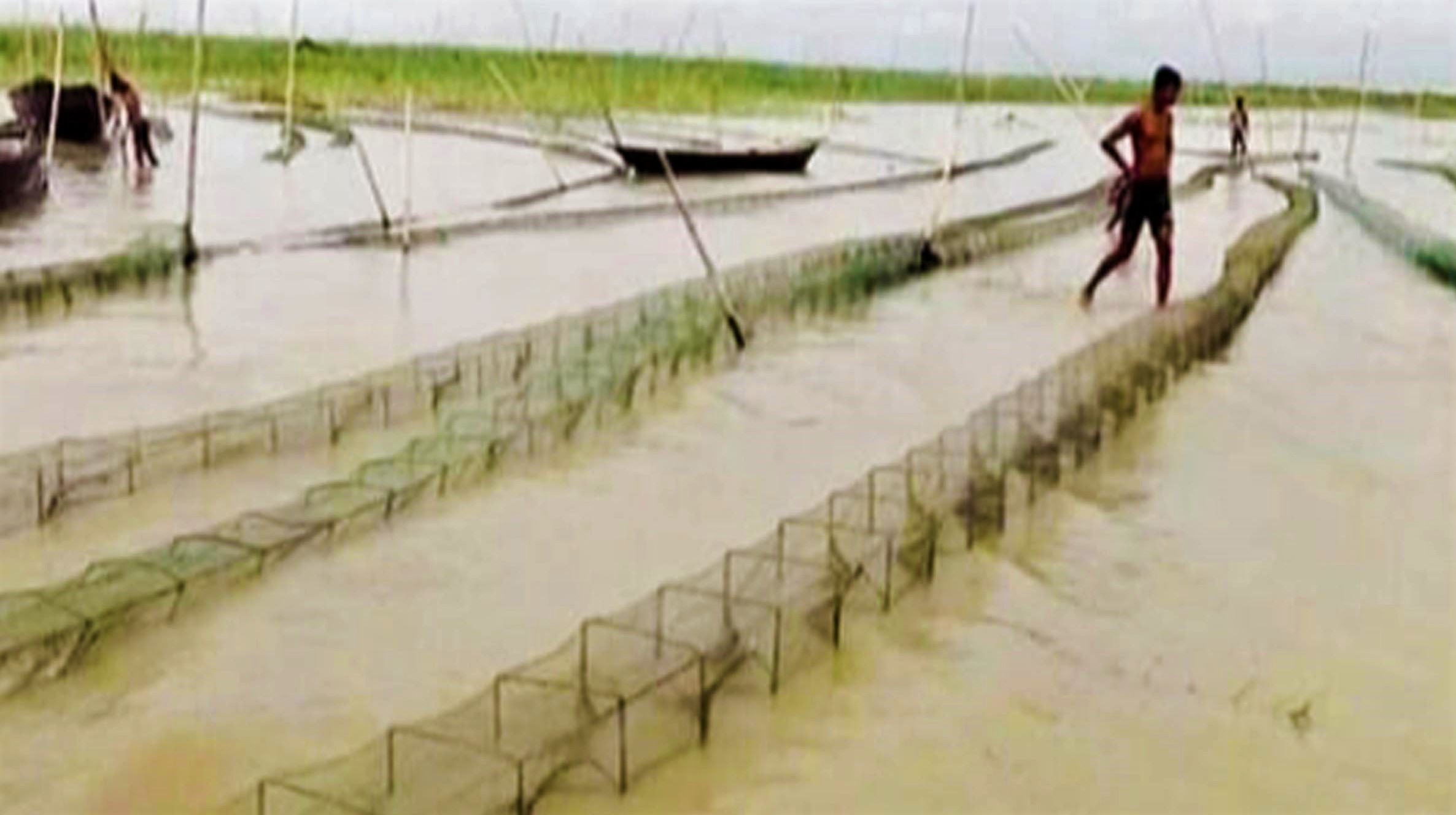 নওগাঁয় নিষিদ্ধ জালে নিধন হচ্ছে দেশিয় প্রজাতির মাছ