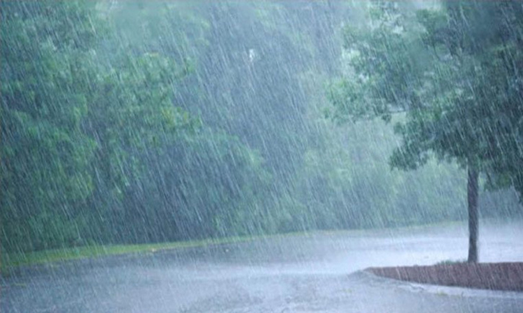 দেশজুড়ে বৃষ্টির সম্ভাবনা, কোথাও কোথাও ভারী থেকে অতি ভারী বর্ষণ