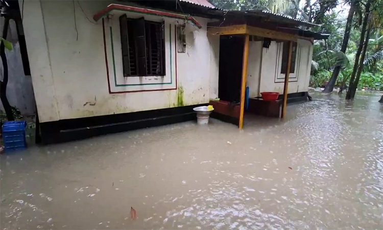 লক্ষ্মীপুরে ২৪ ঘণ্টায় মৌসুমের সর্বোচ্চ বৃষ্টির রেকর্ড, পানিবন্দি পৌরবাসী