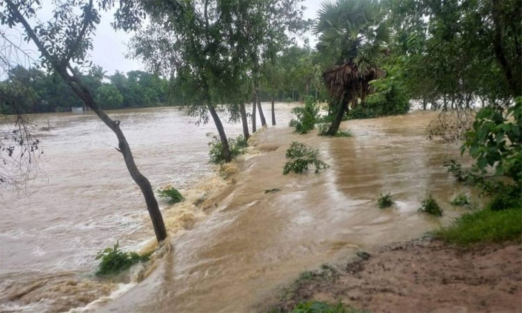 আগামী ৭২ ঘন্টায় ফেনী জেলার বন্যা পরিস্থিতির উন্নতি হতে পারে 
