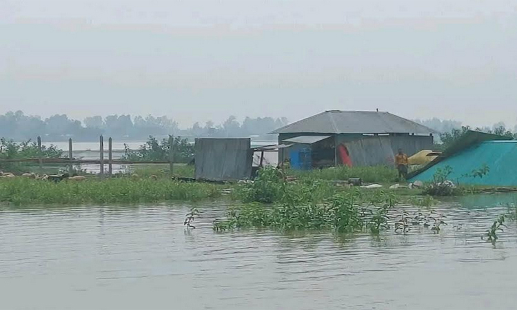 সিরাজগঞ্জে যমুনা নদীর পানি বৃদ্ধি অব্যাহত, নদীগর্ভে বিলীন দেড় শতাধিক ঘর-বাড়ি