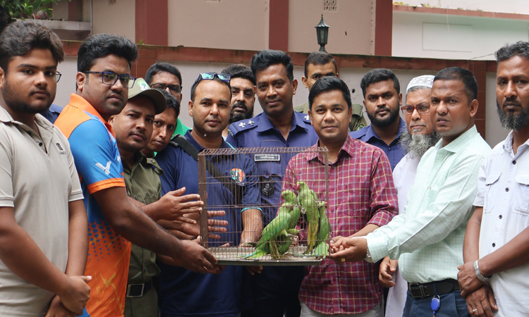 নাটোরে চলনবিলে অবমুক্ত ৮টি টিয়া