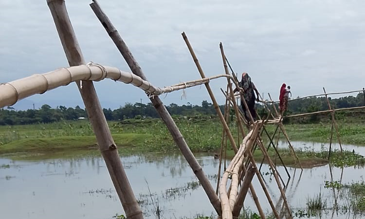 দশ হাজার মানুষের একমাত্র ভরসা বাঁশের সাঁকো
