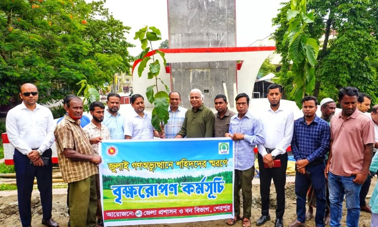 শেরপুরে জুলাই গণঅভ্যুত্থানে শহীদদের স্মরণে বৃক্ষরোপণ