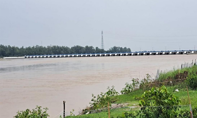 উজানের ঢলে বাড়ছে তিস্তার পানি, বিপদ সীমা ছুঁই ছুঁই 
