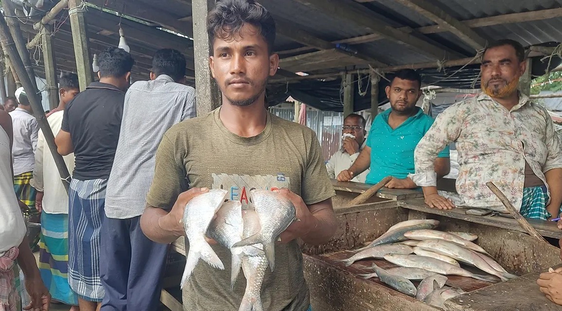 লক্ষ্মীপুরে ইলিশের আকাল, দামও চড়া