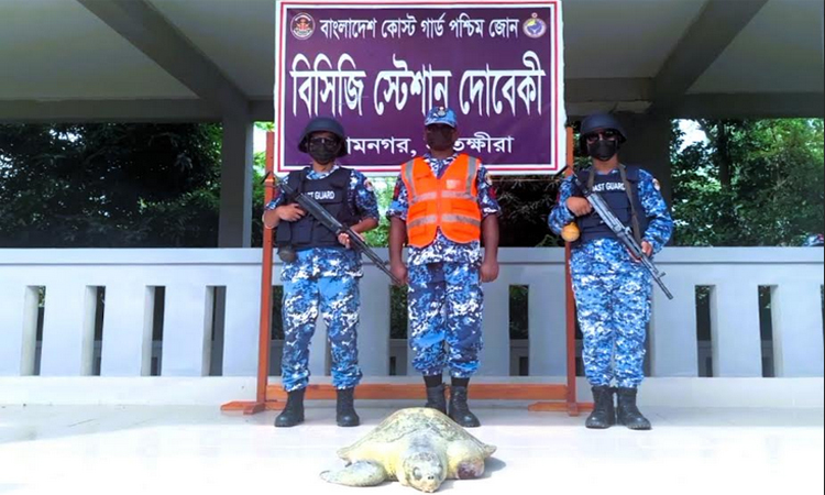 চুনকুড়ি নদী থেকে আহত কচ্ছপ উদ্ধার