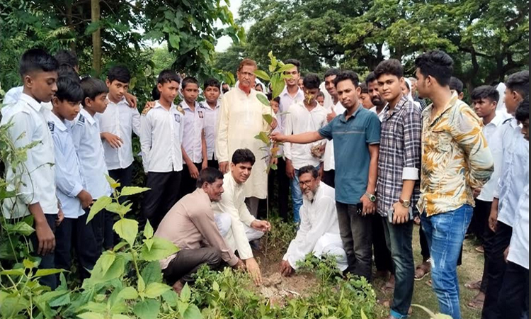ঝিনাইদহে বৃক্ষরোপণ ও বিতরণ কর্মসূচি
