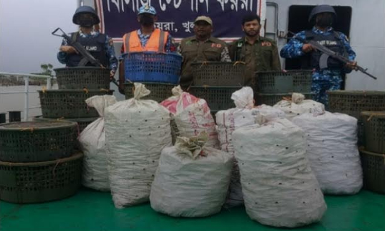 চরামুখা খাল থেকে কাঁকড়াসহ ট্রলার জব্দ