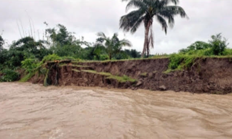 মধুমতীর তীরে ভাঙন, অর্ধশতাধিক স্থাপনা বিলীন