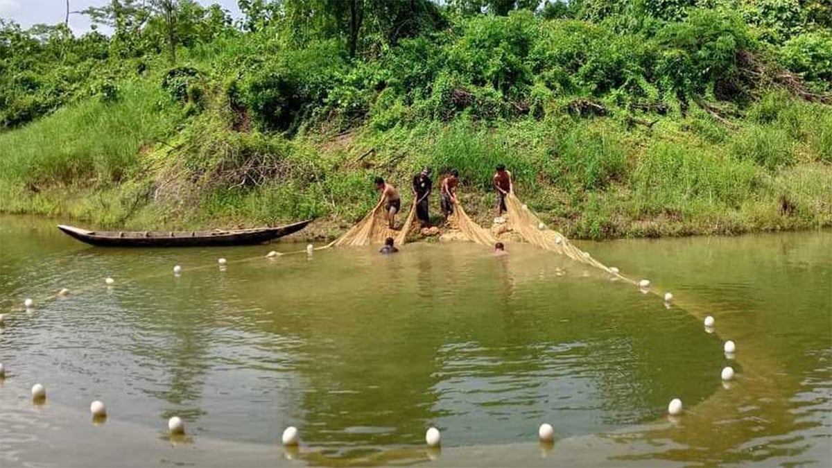 আজ মধ্যরাত থেকে কাপ্তাই হ্রদে মাছ আহরণ শুরু