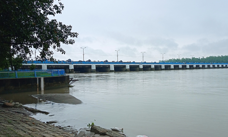 রাজশাহীর ডালিয়া পয়েন্টে বিপৎসীমার ওপরে তিস্তার পানি, নিম্নাঞ্চল প্লাবিত