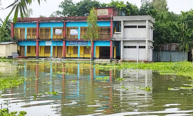 তিস্তার পানি কমছে, তবে প্লাবিত অঞ্চলে চরম দুর্ভোগ