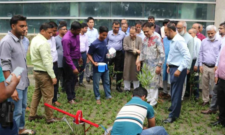 জুলাই গণ-অভ্যুত্থান দিবস উপলক্ষে সড়ক বিভাগের বৃক্ষরোপণ ও বিশেষ দোয়া মাহফিল