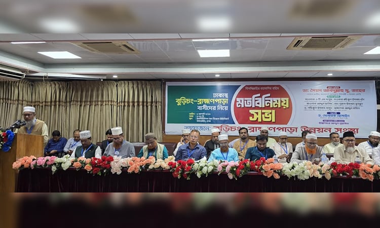 বুড়িচং- ব্রাহ্মণপাড়া উন্নয়ন সংস্থার মতবিনিময় সভা
