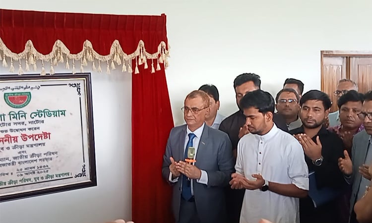 দেশের তরুণদের ভাগ্য উন্নয়নে কাজ করছে সরকার : আসিফ মাহমুদ
