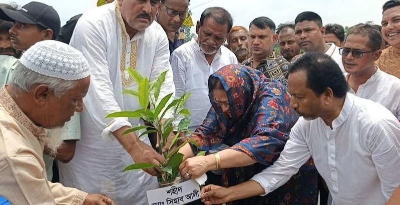 সিরাজগঞ্জে ‘গণঅভ্যুথান’ দিবস উপলক্ষে কৃষকদলের বৃক্ষরোপণ কর্মসূচি