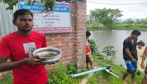দিনাজপুরের মৎস্য খামারিদের ভাগ্য বদলে দিচ্ছে দেশি টেংরার চাষ