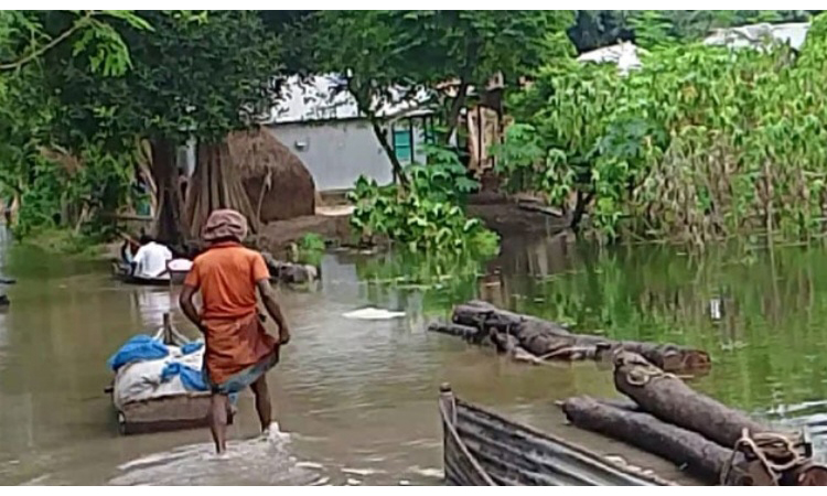 পদ্মার পানি বৃদ্ধিতে নদীপাড়ের হাজার হাজার মানুষ পানিবন্দী