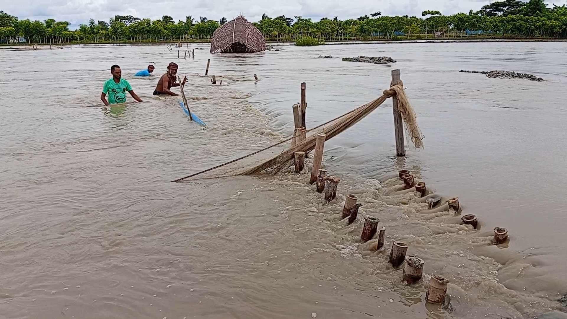 মোংলায় বাঁধ ভেঙে ডুবেছে গ্রাম, ফসলি জমি 