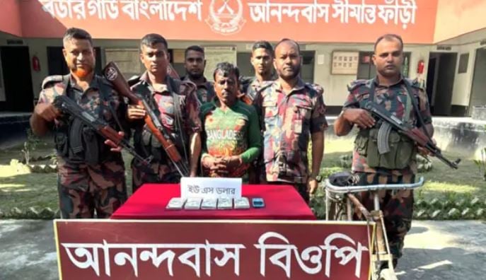 মেহেরপুর সীমান্তে মার্কিন ডলারসহ আটক ১ 