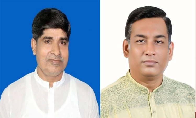 মোরেলগঞ্জ বিএনপির দ্বিবার্ষিক কাউন্সিলে সভাপতি বাবুল ও মেহেদী সম্পাদক