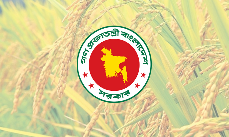 খাদ্য মন্ত্রণালয়ের রেকর্ড পরিমাণ ধান ও চাল সংগ্রহ