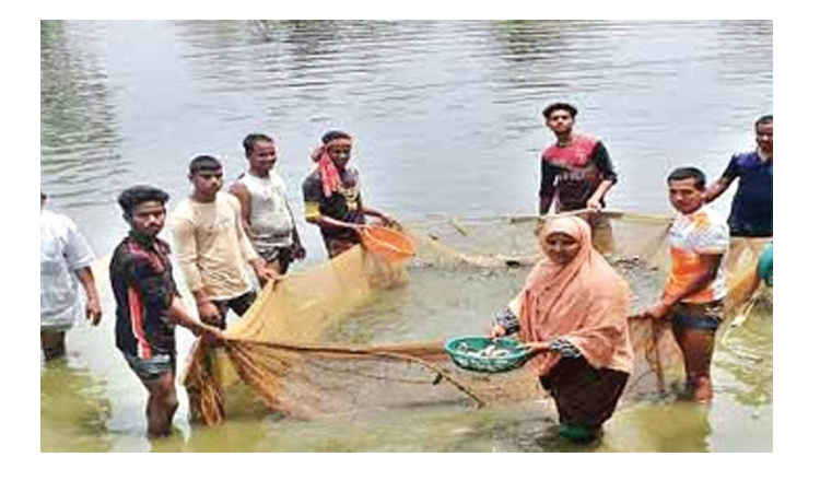 মাছের পোনা উৎপাদনে সফল দিনাজপুরের সাদেকা বানু