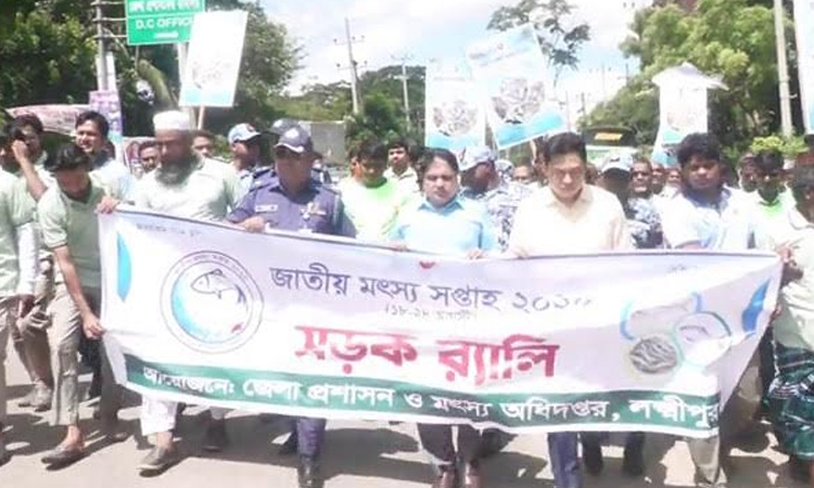 লক্ষ্মীপুরে জাতীয় মৎস্য সপ্তাহ উপলক্ষে র‌্যালী ও আলোচনা সভা