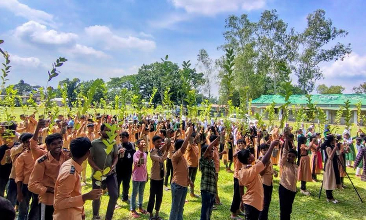 তারেক রহমান ঘোষিত বৃক্ষরোপণ বাস্তবায়নে ঘাটাইলে বৃক্ষরোপণ কর্মসূচি