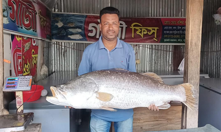 কুয়াকাটায় বাজারে মিললো ২৪ কেজির কোরাল 
