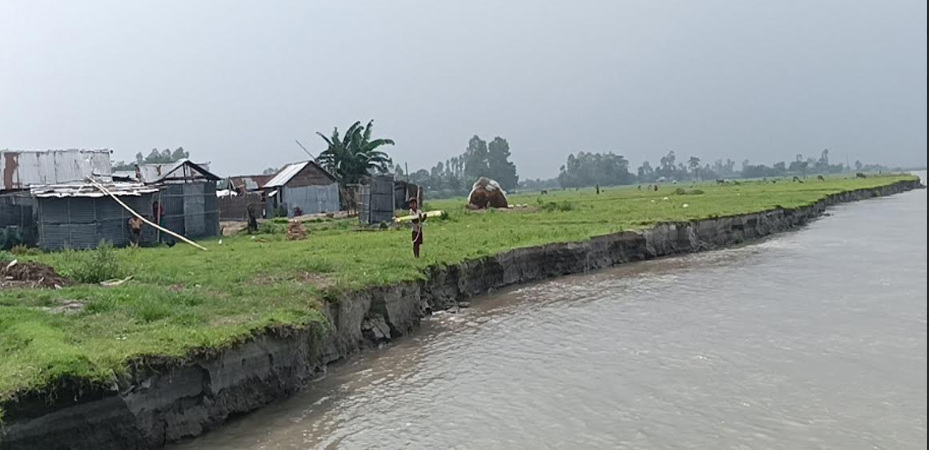 দ্রুত ও কার্যকর নদী সংস্কার চান তিস্তার ভাঙন কবলিত  মানুষ