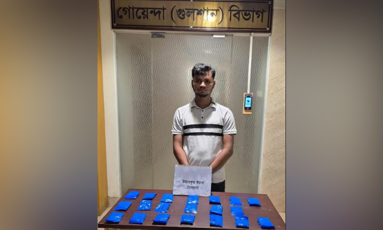 রাজধানীতে বিপুল পরিমাণ ইয়াবাসহ মাদক কারবারি গ্রেফতার
