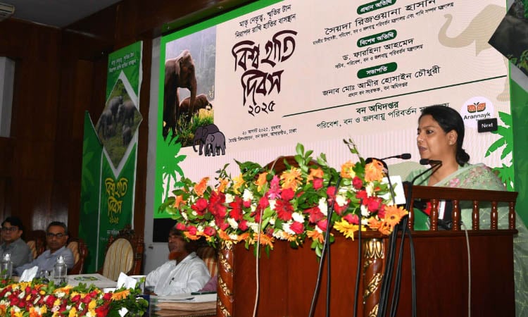 হাতি সংরক্ষণে আবাসস্থল রক্ষা, করিডোর মুক্তকরণ ও সচেতনতা জরুরি: পরিবেশ উপদেষ্টা