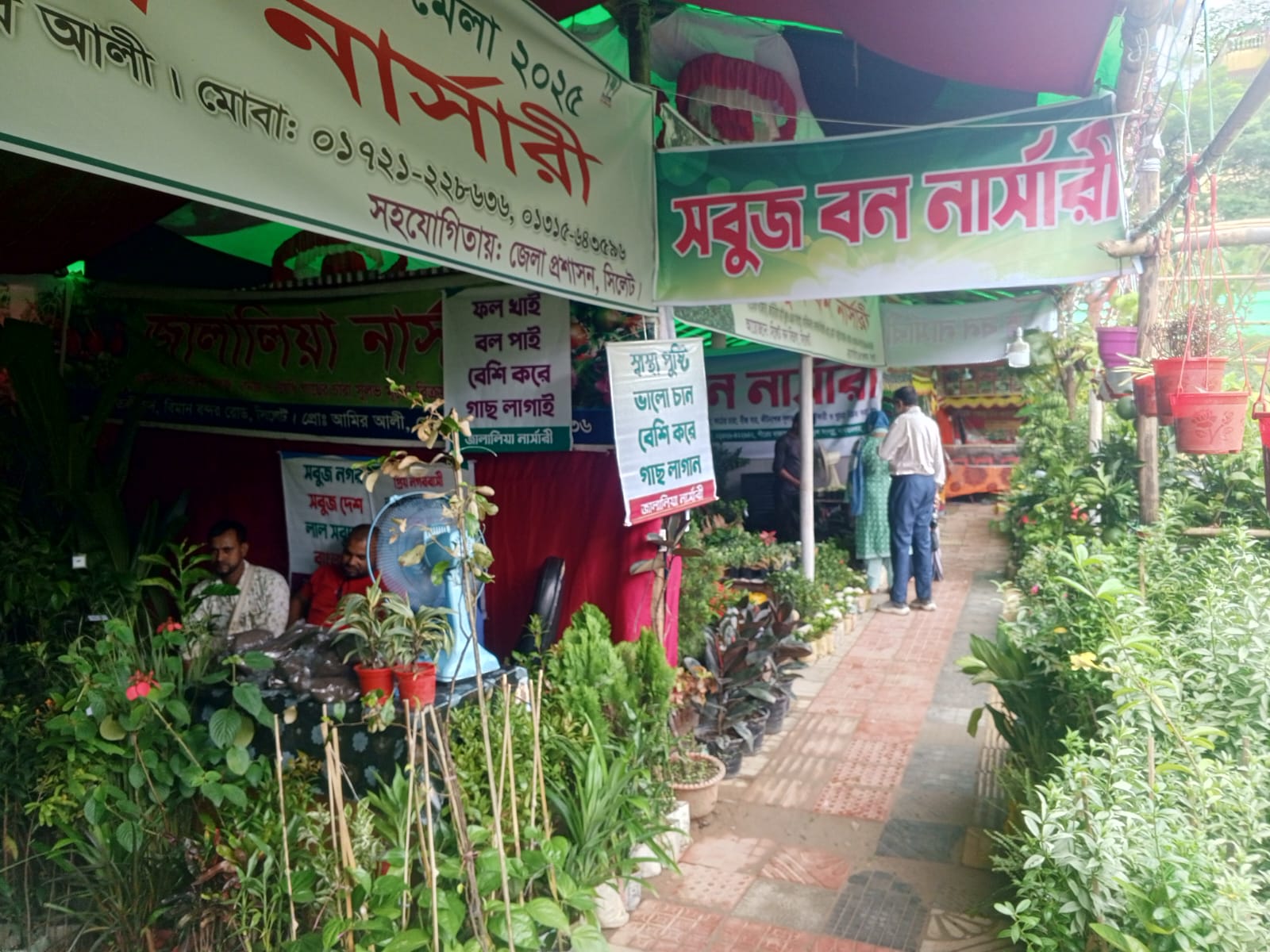 সিলেটে বৃক্ষমেলায় সাড়ে ৬১ হাজার চারা বিক্রি