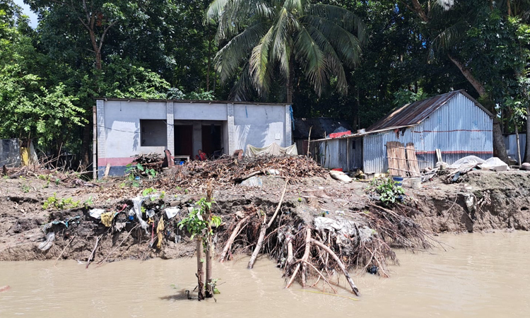 নড়াইলের কালিয়ায় নবগঙ্গা নদী ভাঙন বাড়ছে