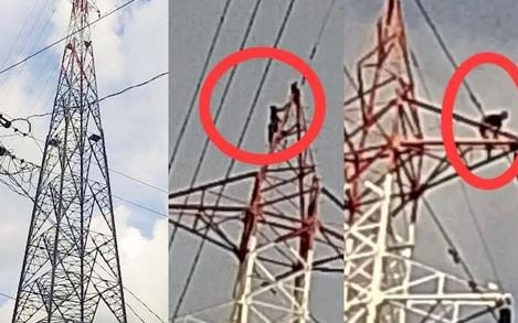 পিরোজপুরে মানসিক ভারসাম্যহীন ব্যক্তির কাণ্ডে বিদ্যুৎ বন্ধ