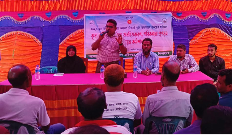 ঝিনাইদহে কৃষকদের দক্ষতা উন্নয়ন বিষয়ক কর্মশালা 