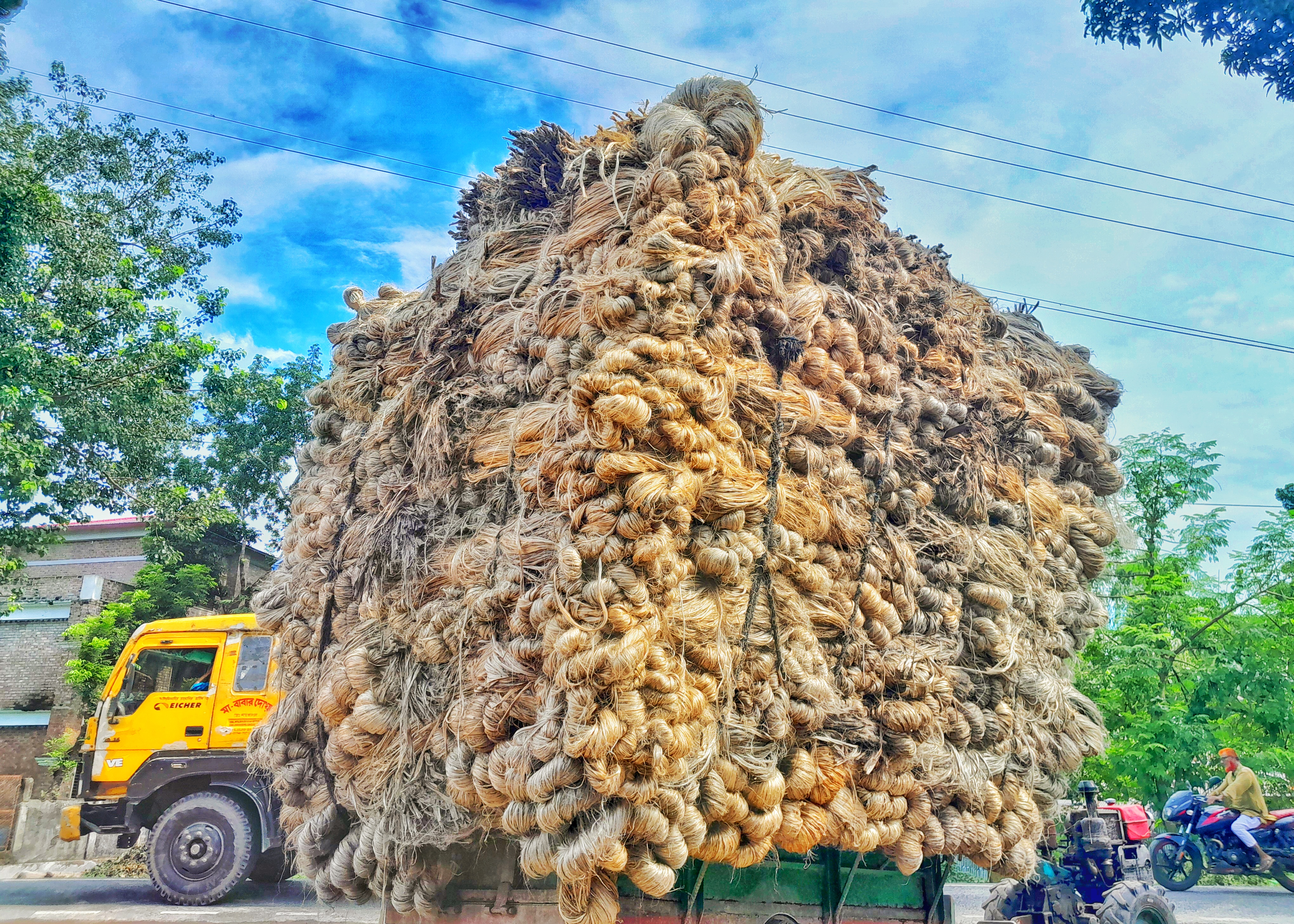 লালমনিরহাটে পাটের চড়া দামে সুদিনের আশা কৃষকের 